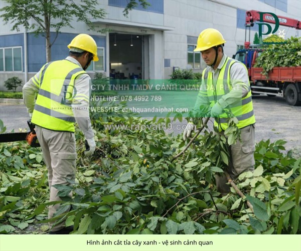 Dịch vụ chăm sóc cây xanh định kỳ cho công ty nhà xưởng 2 3 lần/tuần