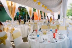 Dịch vụ cho thuê bàn ghế đám cưới ngàn thông - giúp ngày trọng đại trở nên trọn vẹn