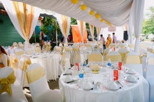 Dịch vụ cho thuê bàn ghế đám cưới ngàn thông - giúp ngày trọng đại trở nên trọn vẹn