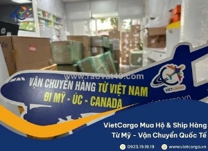 Dịch vụ gửi đồ cho bé đi mỹ đơn giản, dễ dàng cùng vietcargo