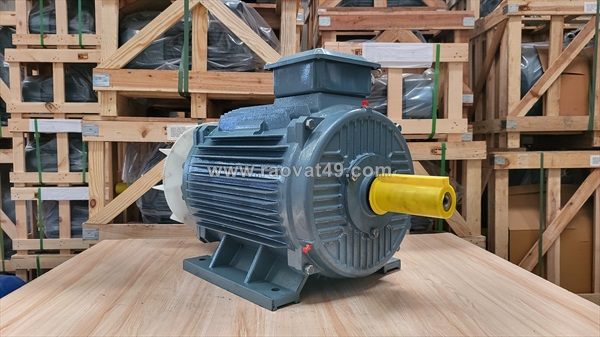 Động cơ điện có phanh (brake motor) chính hãng – dừng tức thì, an toàn tuyệt đối