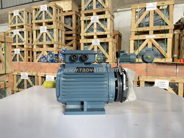 Động cơ điện có phanh (brake motor) chính hãng – dừng tức thì, an toàn tuyệt đối