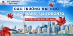 Du học đại học ở toronto 2026: chọn trường phù hợp với bạn!