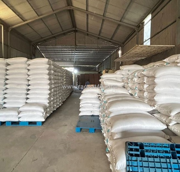 Giá hạt đậu nành hôm nay anlocfood.com