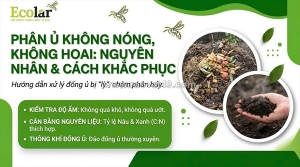 Giải mã nguyên nhân phân bón hữu cơ ủ không sinh nhiệt và tuyệt chiêu khắc phục nhanh chóng