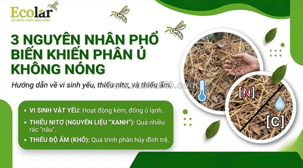 Giải mã nguyên nhân phân bón hữu cơ ủ không sinh nhiệt và tuyệt chiêu khắc phục nhanh chóng