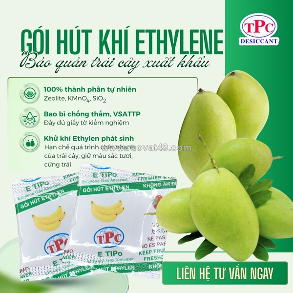 Giải pháp gói hút ethylene giúp xoài xuất khẩu giữ độ tươi lâu hơn