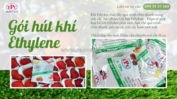 Giải pháp gói hút khí ethylen giúp bảo quản dâu tươi lâu hơn
