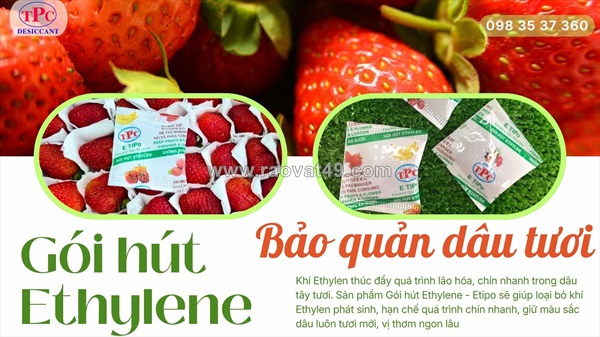 Giải pháp gói hút khí ethylen giúp bảo quản dâu tươi lâu hơn