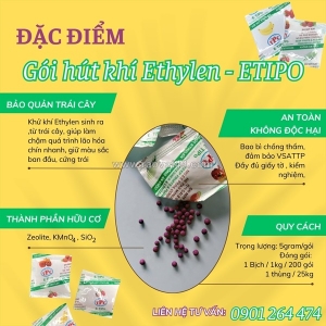 Giải pháp hãm chín trái cây xuất khẩu với gói hút khí ethylene thịnh phong