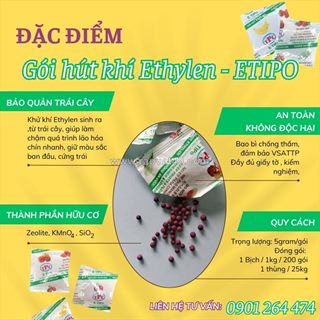 Giải pháp hãm chín trái cây xuất khẩu với gói hút khí ethylene thịnh phong
