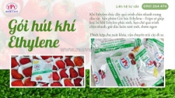 Gói hút ethylen etipo – công nghệ hỗ trợ bảo quản trái cây tươi lâu