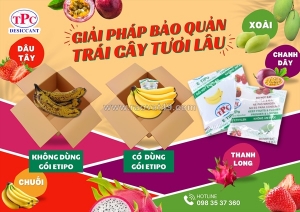 Gói hút ethylene giúp bảo quản trái cây xuất khẩu