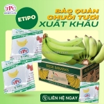 Gói hút ethylene giúp chuối xuất khẩu giữ độ tươi lâu hơn