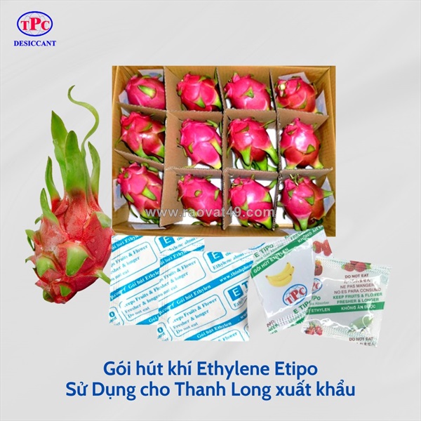 Gói hút ethylene trong bảo quản thanh long xuất khẩu