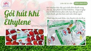 Gói hút khí ethylen bảo quản dâu tươi lâu chín