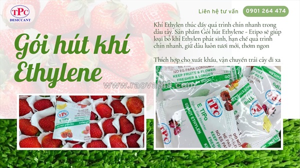 Gói hút khí ethylen bảo quản dâu tươi lâu chín
