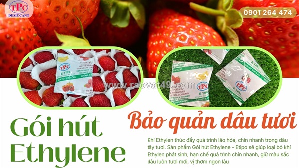 Gói hút khí ethylen bảo quản dâu tươi lâu chín