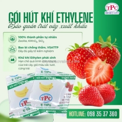Gói hút khí ethylen – giải pháp bảo quản dâu tây xuất khẩu hiệu quả