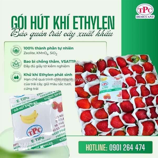 Gói hút khí ethylen – giải pháp bảo quản dâu tây xuất khẩu hiệu quả