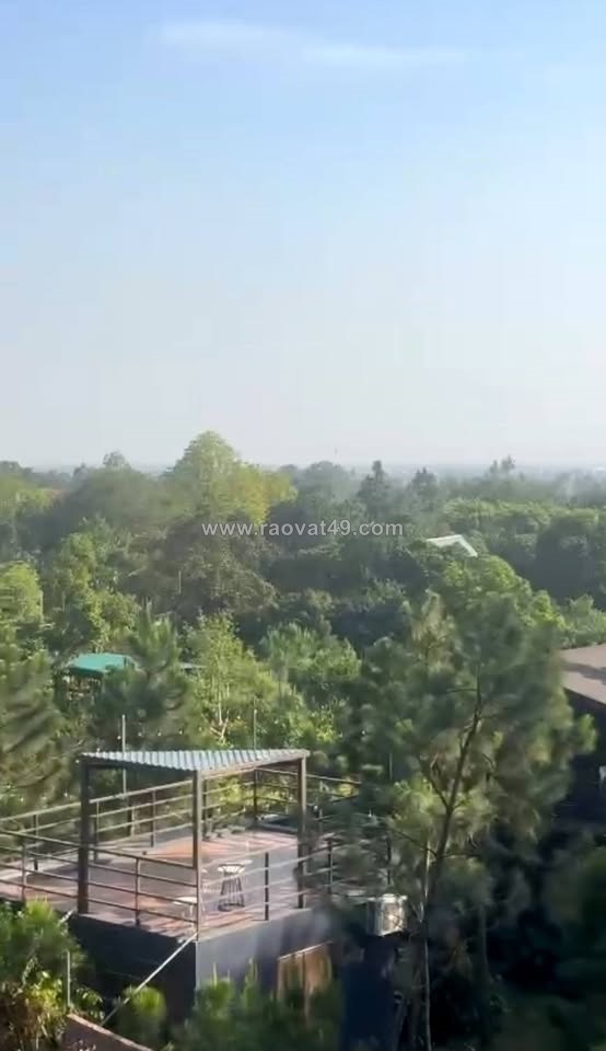 Hơn 14.600m2, mt hơn200m. nguyên quả đồi, 39 tỷ, minh phú, sóc sơn, kd dưới tán