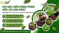 Khi nào nên chọn phân bón hữu cơ làm sẵn?