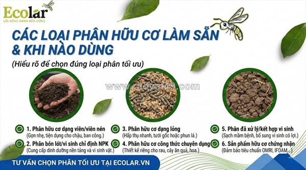 Khi nào nên chọn phân bón hữu cơ làm sẵn?