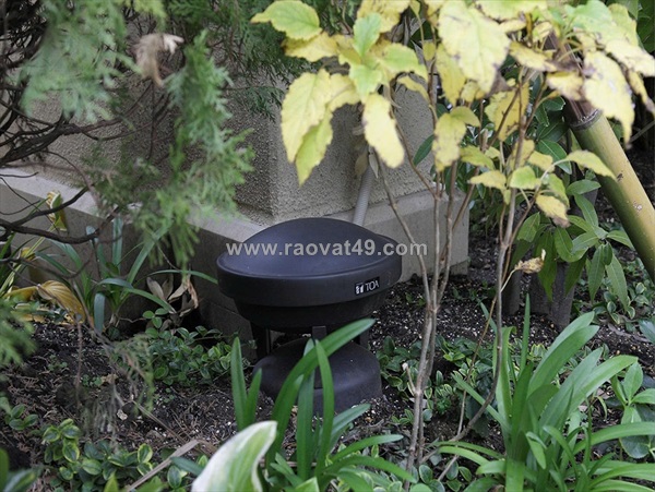 Loa sân vườn – toa gs-302