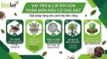 Lợi ích của phân bón hữu cơ đối với đất