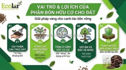 Lợi ích của phân bón hữu cơ đối với đất