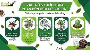 Lợi ích của phân bón hữu cơ đối với đất