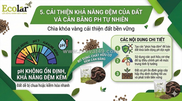 Lợi ích của phân bón hữu cơ đối với đất