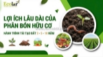 Lợi ích lâu dài của phân bón hữu cơ trong nông nghiệp bền vững