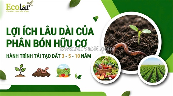 Lợi ích lâu dài của phân bón hữu cơ trong nông nghiệp bền vững