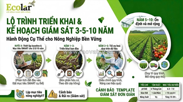 Lợi ích lâu dài của phân bón hữu cơ trong nông nghiệp bền vững