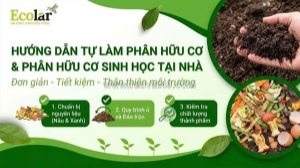 Lựa chọn giữa tự ủ phế phẩm và dòng sinh học thương mại