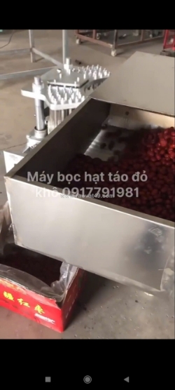 Máy tách hạt táo đỏ công nghiệp