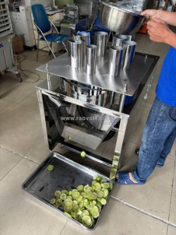 Máy thái lát cam chanh, máy thái lát chanh sấy, máy thái lát tròn