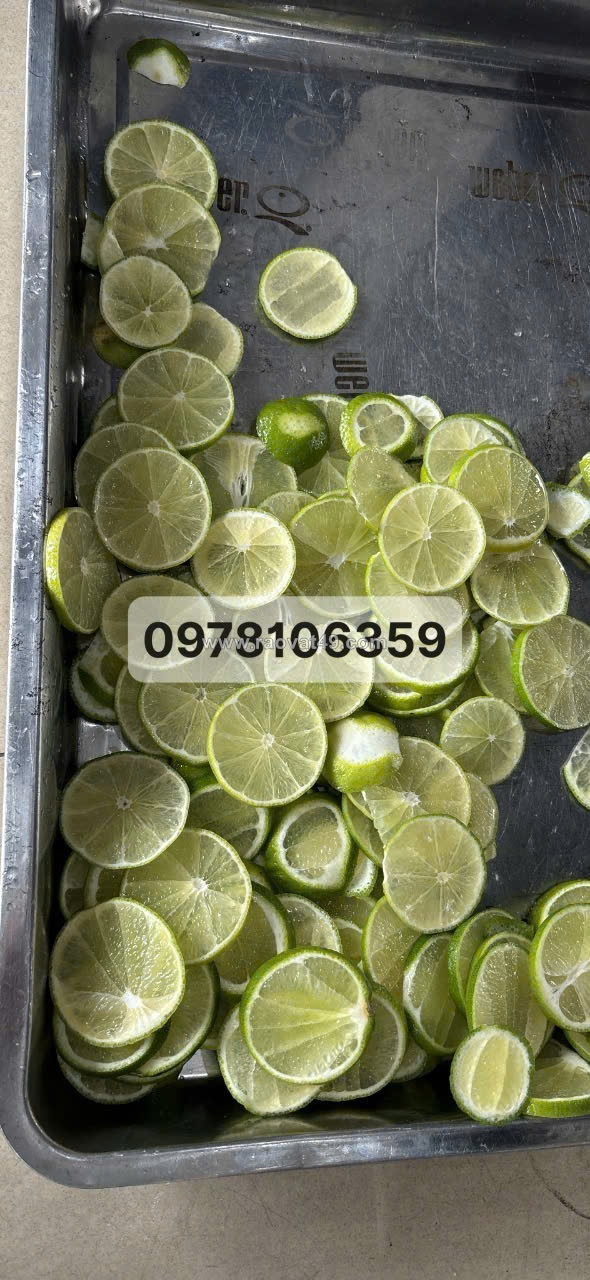 Máy thái lát cam chanh, máy thái lát chanh sấy, máy thái lát tròn