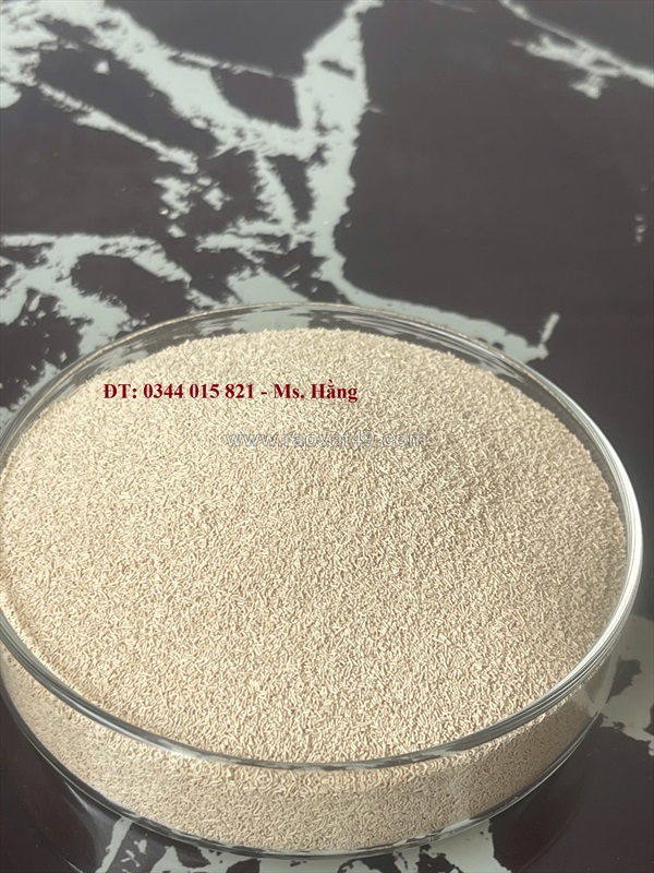 Nấm men saccharmyces boulardii, hỗ trợ tiêu hóa cho vật nuôi