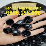 Nơi bán nắp chụp ốc lục giác m12 bằng nhựa giá rẻ