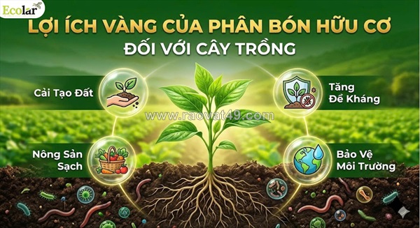 Phân bón hữu cơ: chìa khóa nuôi dưỡng thực vật phát triển khỏe mạnh và bền vững
