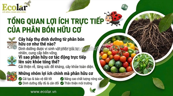 Phân bón hữu cơ: chìa khóa nuôi dưỡng thực vật phát triển khỏe mạnh và bền vững
