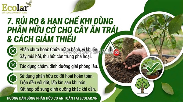 Phân bón hữu cơ cho cây ăn trái: 8 lợi ích thực tiễn giúp tăng năng suất và nâng cao chất lượng quả