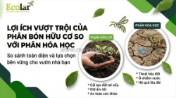 Phân bón hữu cơ và lựa chọn chiến lược trong nông nghiệp hiện đại: 7 lợi thế thực tiễn và lộ trình chuyển đổi 90 ngày