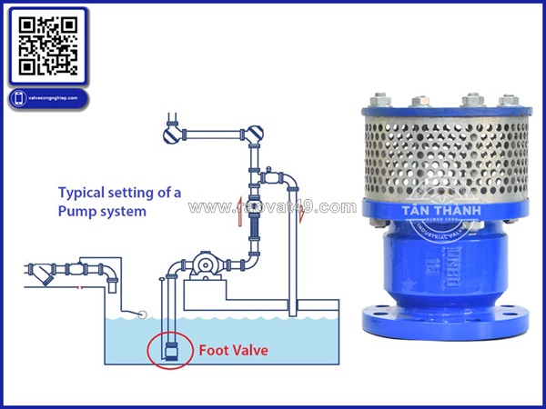 Rọ bơm và van 1 chiều khác nhau như thế nào? hướng dẫn chọn đúng cho từng hệ thống