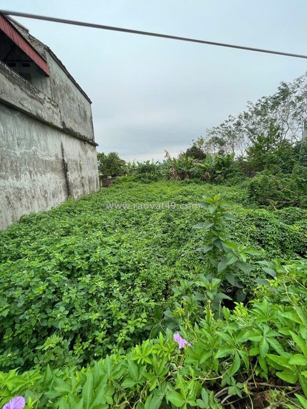 Sở hữu siêu phẩm đất chính chủ - thổ cư 100% - thôn phú thọ, quảng phú, lương