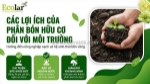 Tác động toàn diện của phân bón hữu cơ đối với hệ sinh thái: 8 lợi ích cốt lõi và phương pháp đánh giá