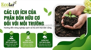 Tác động toàn diện của phân bón hữu cơ đối với hệ sinh thái: 8 lợi ích cốt lõi và phương pháp đánh giá