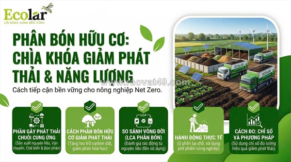Tác động toàn diện của phân bón hữu cơ đối với hệ sinh thái: 8 lợi ích cốt lõi và phương pháp đánh giá